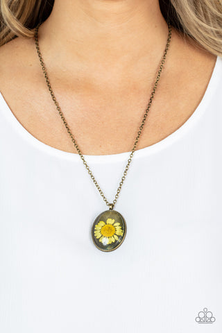 Prairie Passion - Yellow Necklace - Paparazzi Accessories Featuring a rustic brass backdrop, a yellow daisy is encased inside a glassy brass frame at the bottom of an antiqued brass chain for a romantically rustic look. Features an adjustable clasp closure.  Sold as one individual necklace. Includes one pair of matching earrings.